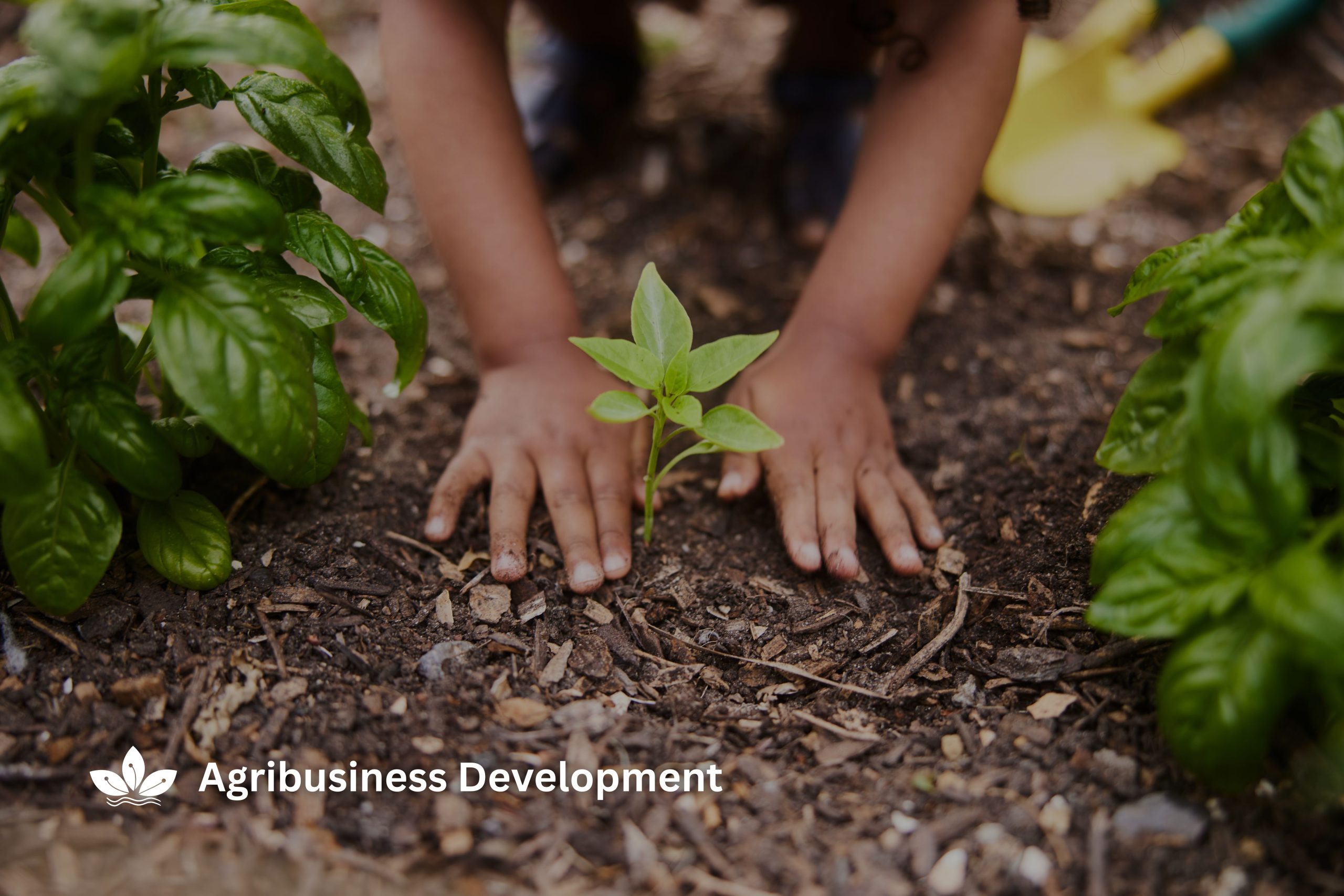 Agribusiness Development