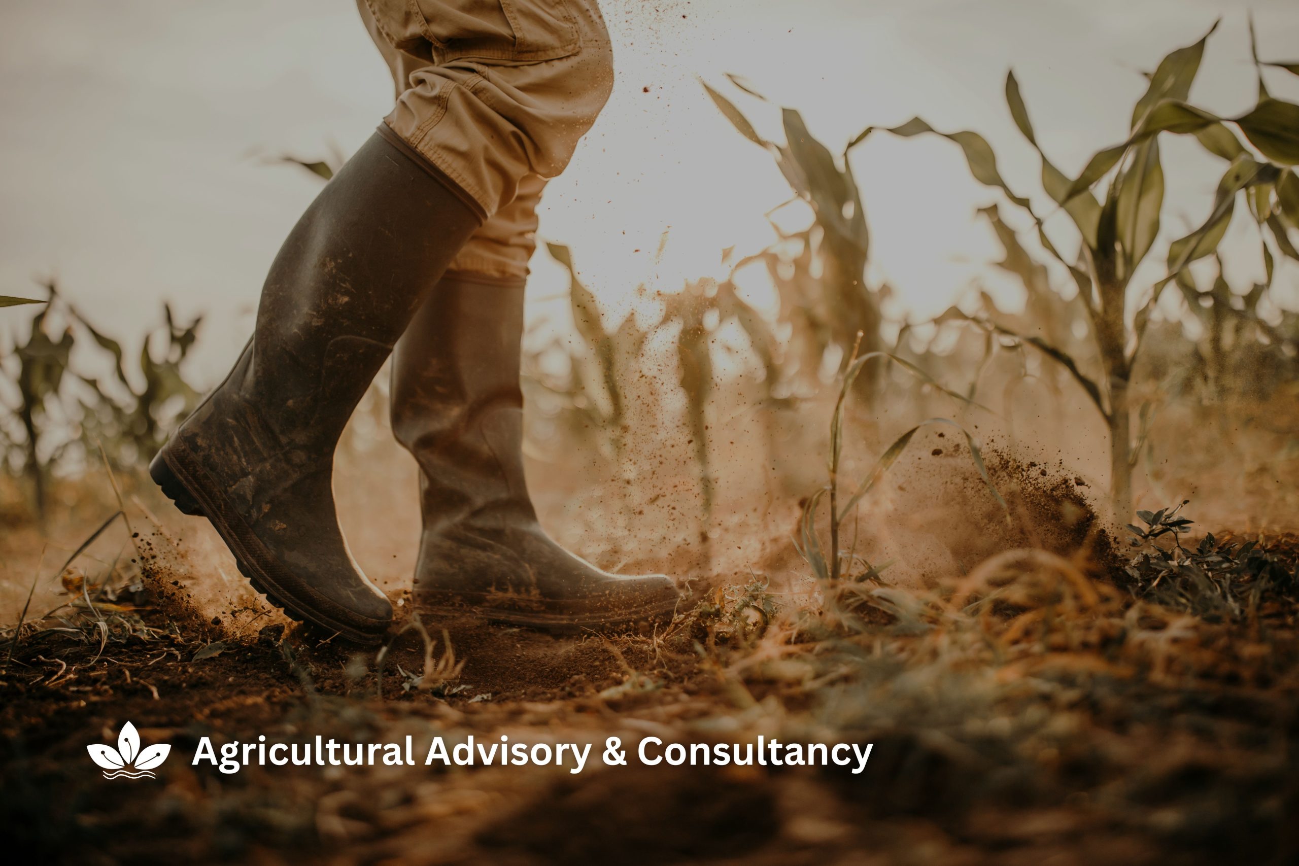 Agricultural Advisory & Consultancy